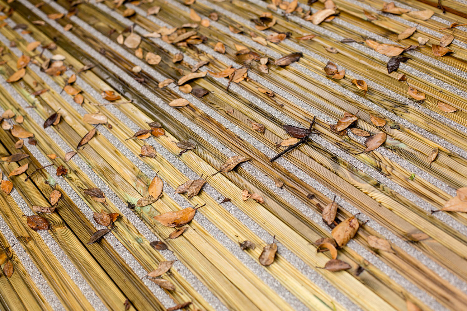 Anti-slip timber deck boards covered in Autumn leaves