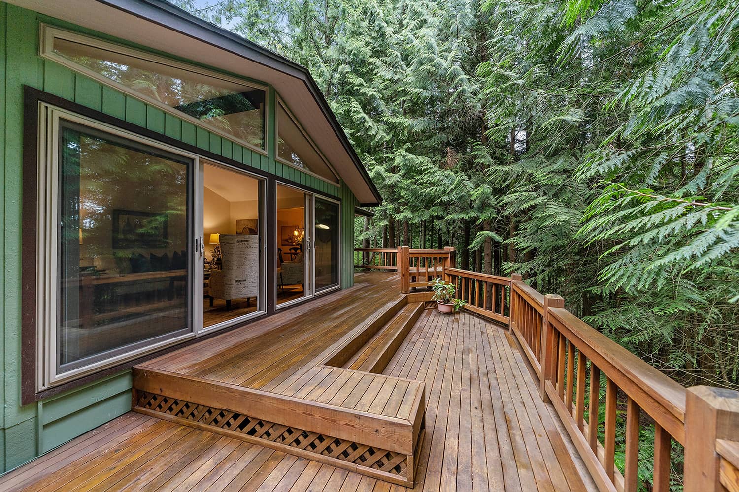 Raised timber deck in garden surrounded by pine trees